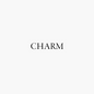 Charm EMPTY 10mm