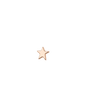 Ohrstecker STARFISH