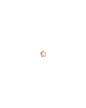 Ohrstecker MINI STAR