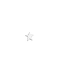 Ohrstecker STARFISH