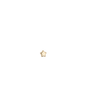 Ohrstecker MINI STAR