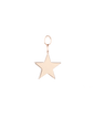 Anhänger POINTY