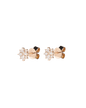 Ear Studs ISABELLE