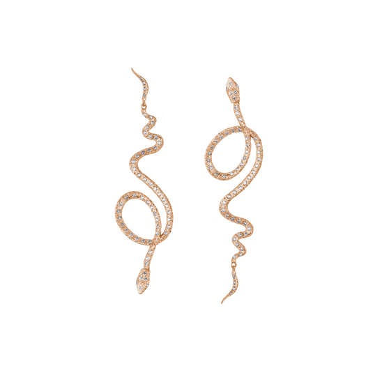 Earrings SNAKE UP AND DOWN