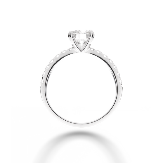 Ring PROMISE