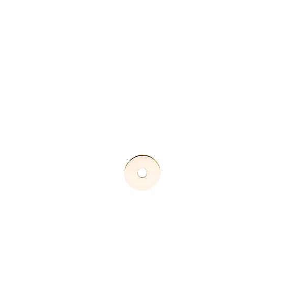 Charm EMPTY DISC 8mm